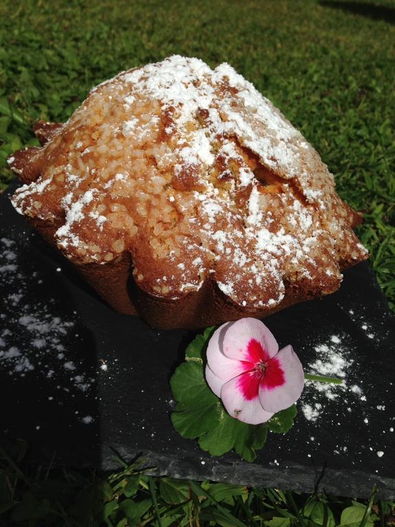 Chalet Des Palmiers 바네르드비고르 외부 사진